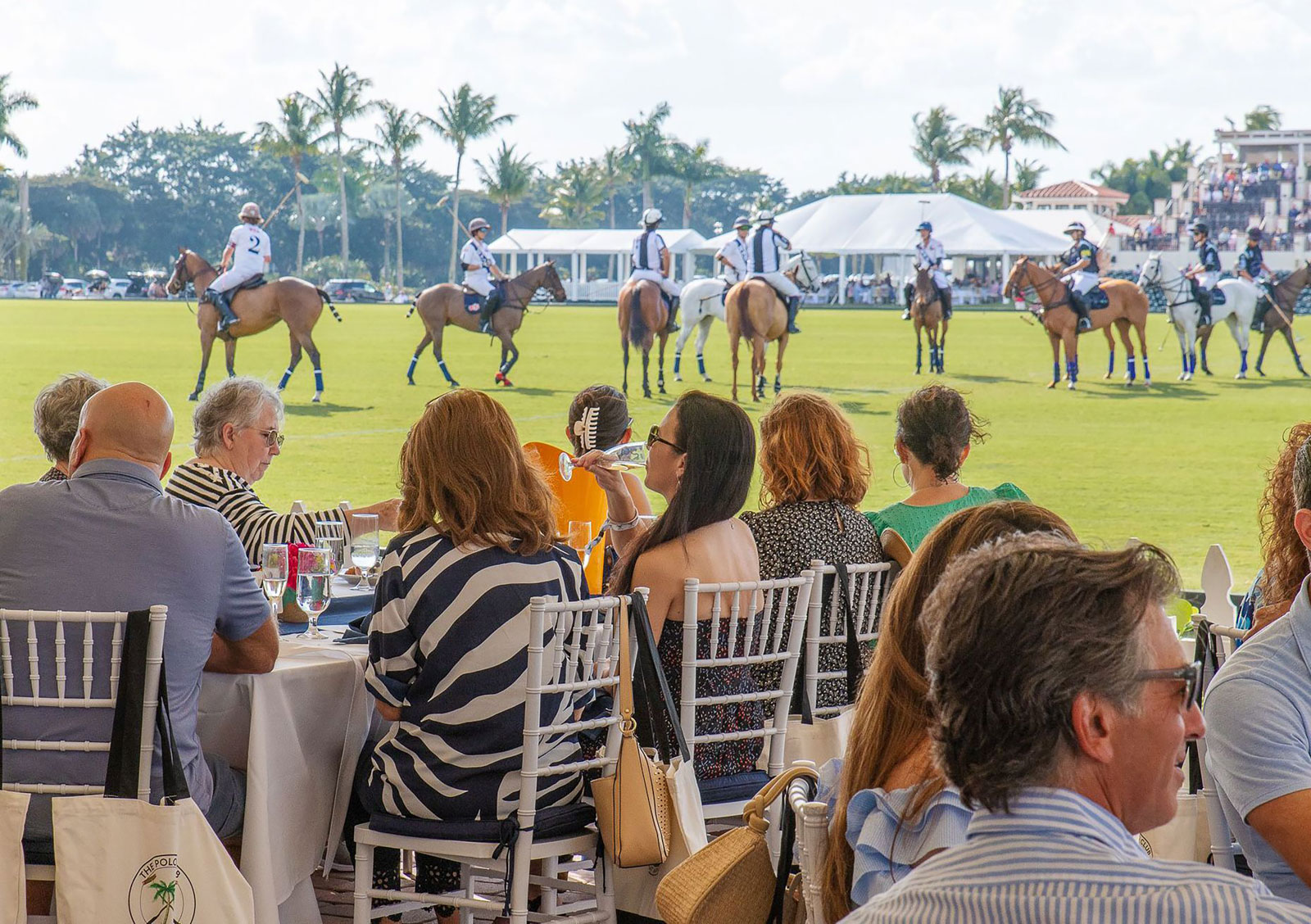 Polo at Wellington